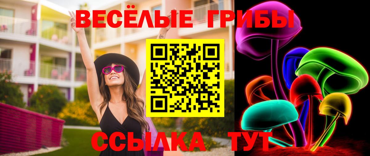 Галлюциногенные грибы GOLDEN TEACHER Кизилюрт